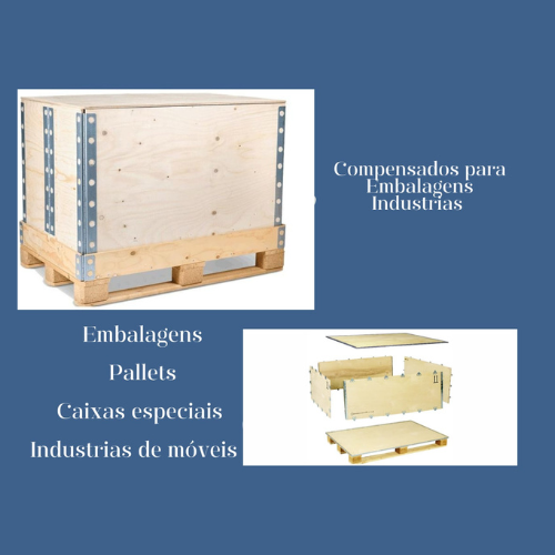 Design sem nome (4)